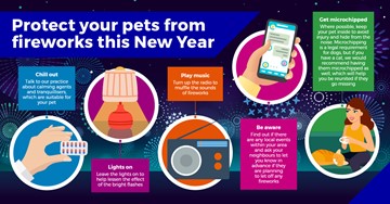 Preparing your pets for firework season