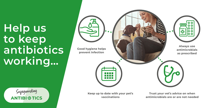 Help us to keep antibiotics working in Ilford…