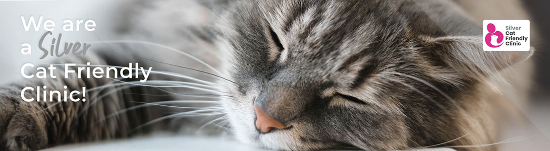 Cat Friendly Clinic