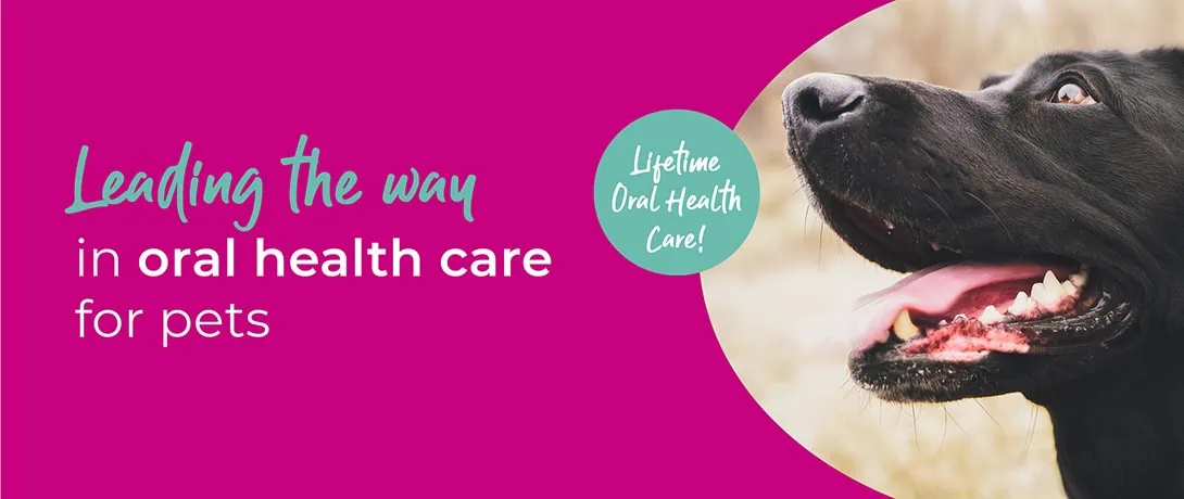 Vets in Ilford, Essex | Vets in East London | Vets in Goodmayes