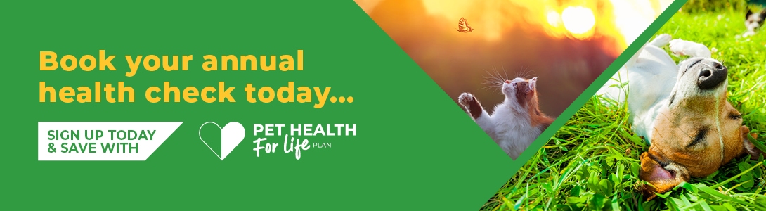 Spring into action and book your pet’s health check today in Ilford