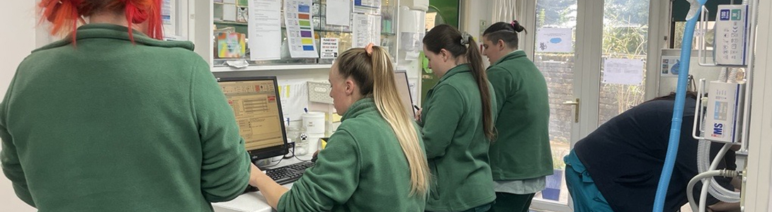 Animal Ark Vets in Goodmayes, Ilford, North East London