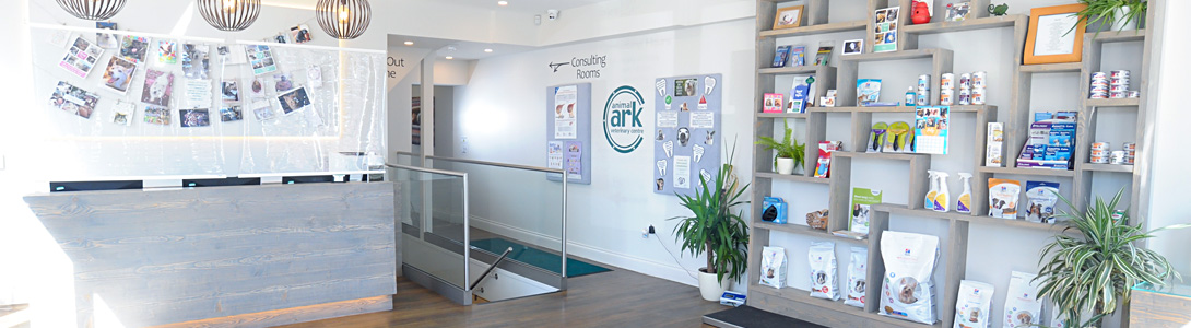 News and updates from Animal Ark - vets in Essex