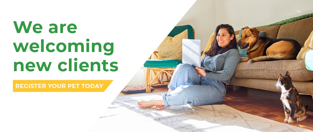 Vets in Ilford, Essex | Vets in East London | Vets in Goodmayes