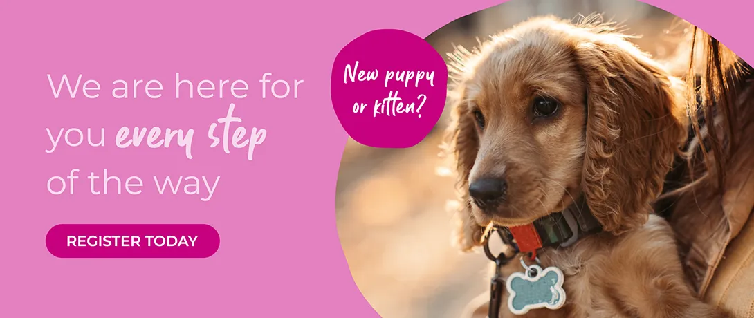 Vets in Ilford, Essex | Vets in East London | Vets in Goodmayes