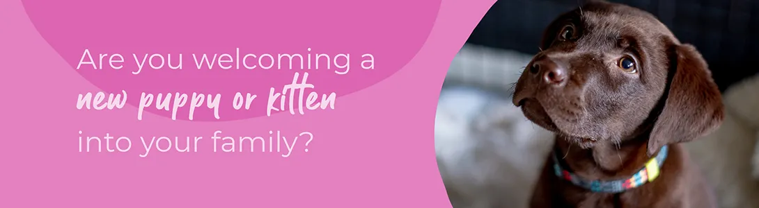 Welcoming your new puppy or kitten