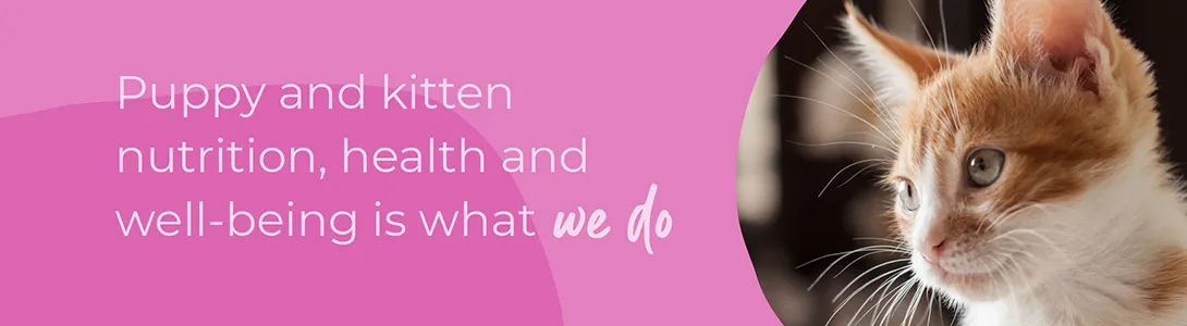 Welcoming your new puppy or kitten