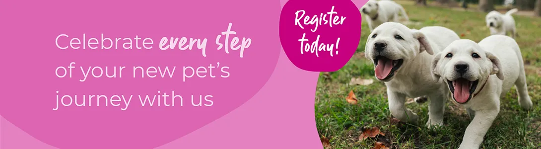 Welcoming your new puppy or kitten